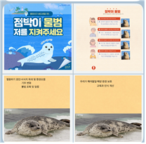 멸종위기동물 카드뉴스만들기